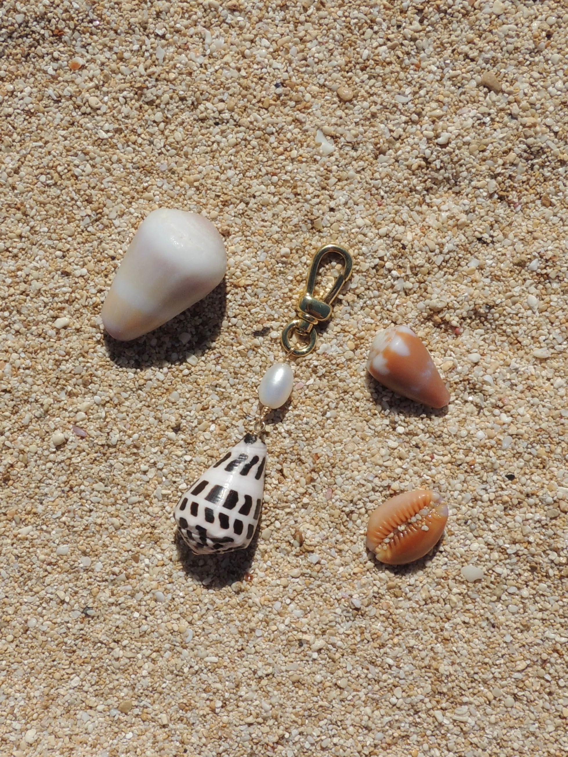 Hebrew Cone Shell Keychain