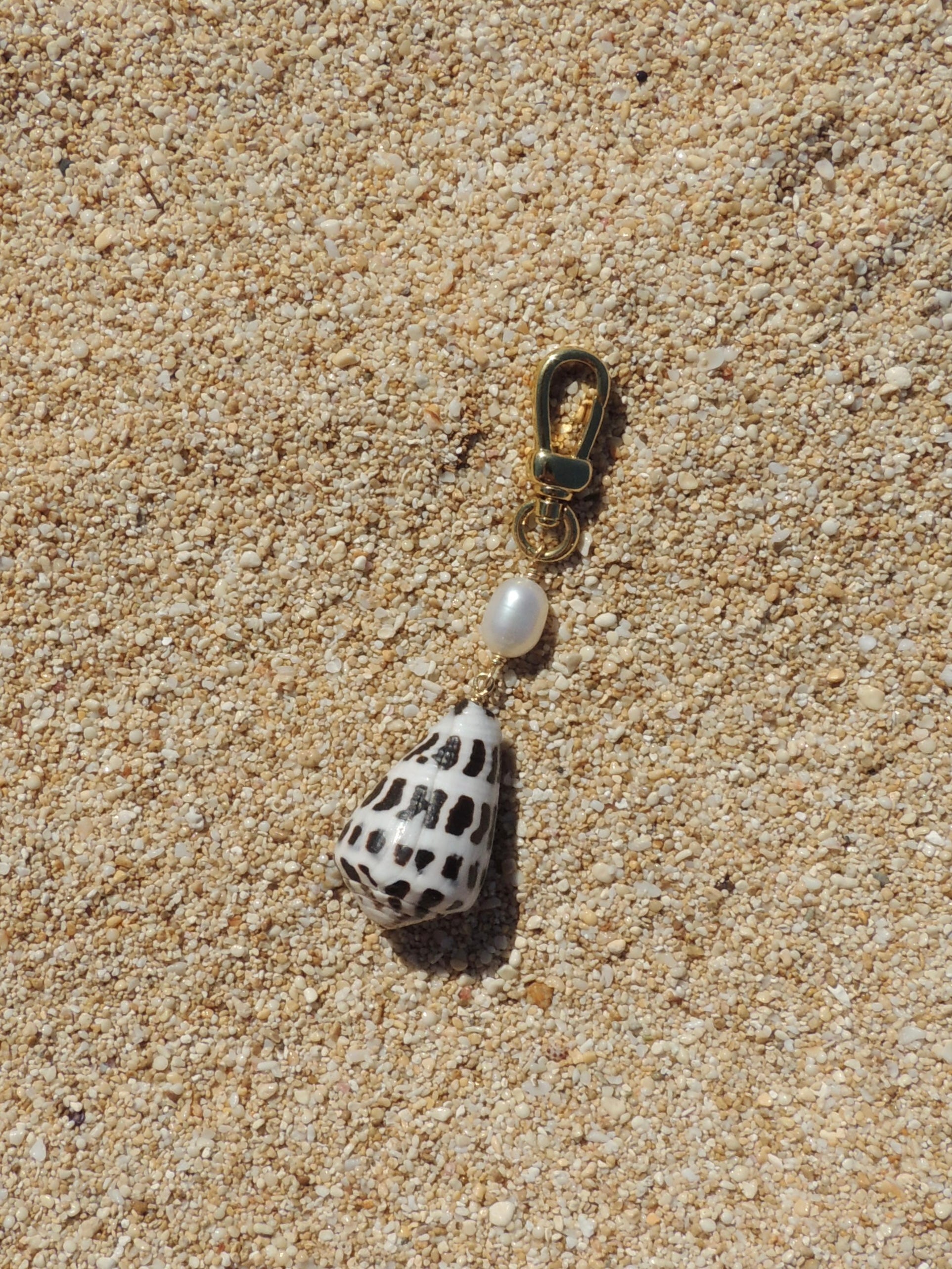 Hebrew Cone Shell Keychain