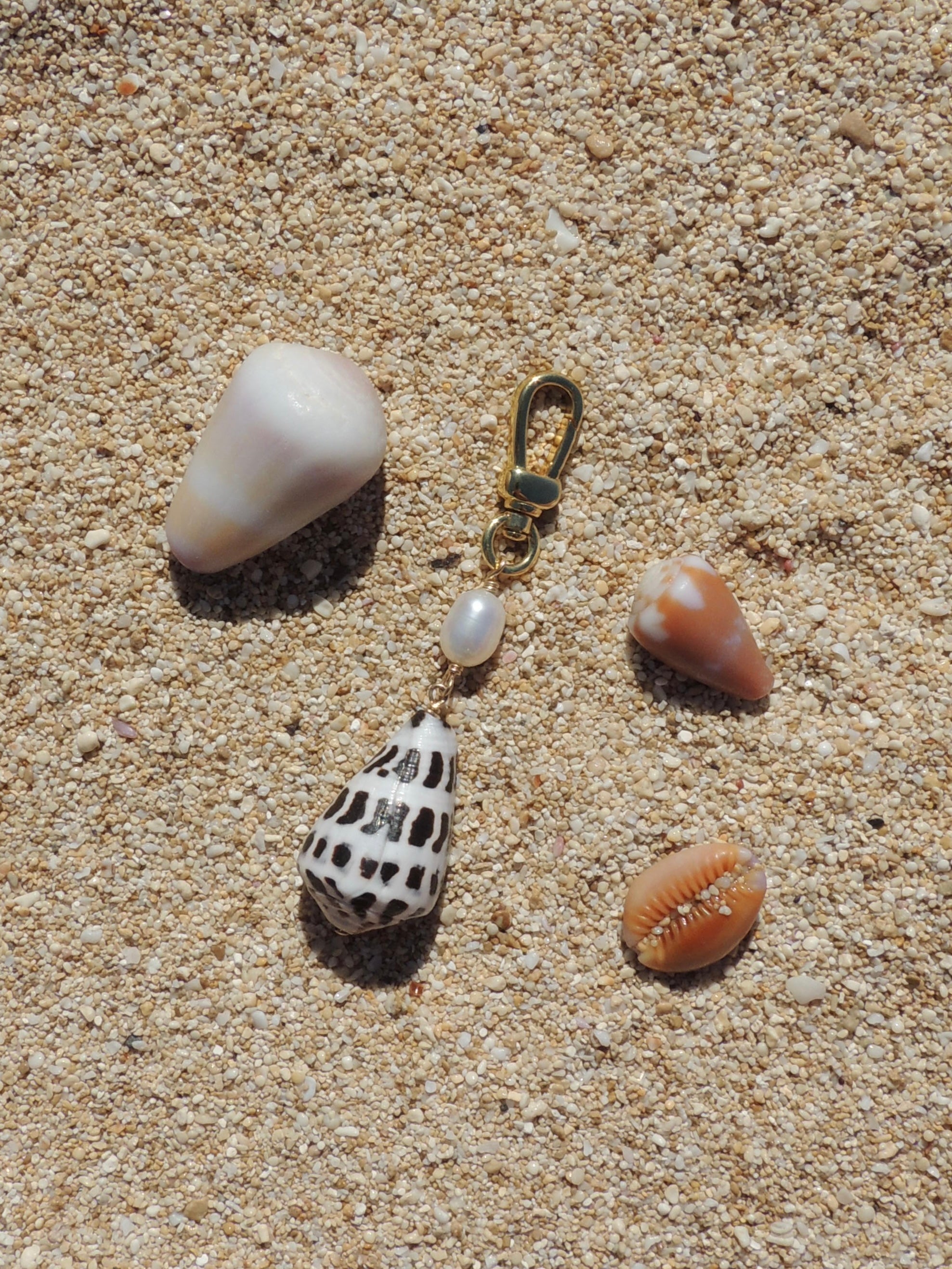 Hebrew Cone Shell Keychain