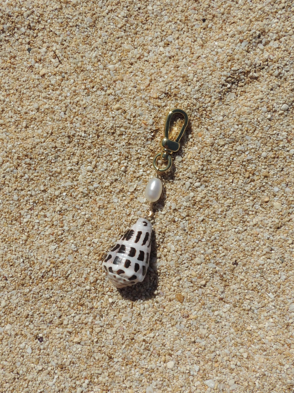 Hebrew Cone Shell Keychain