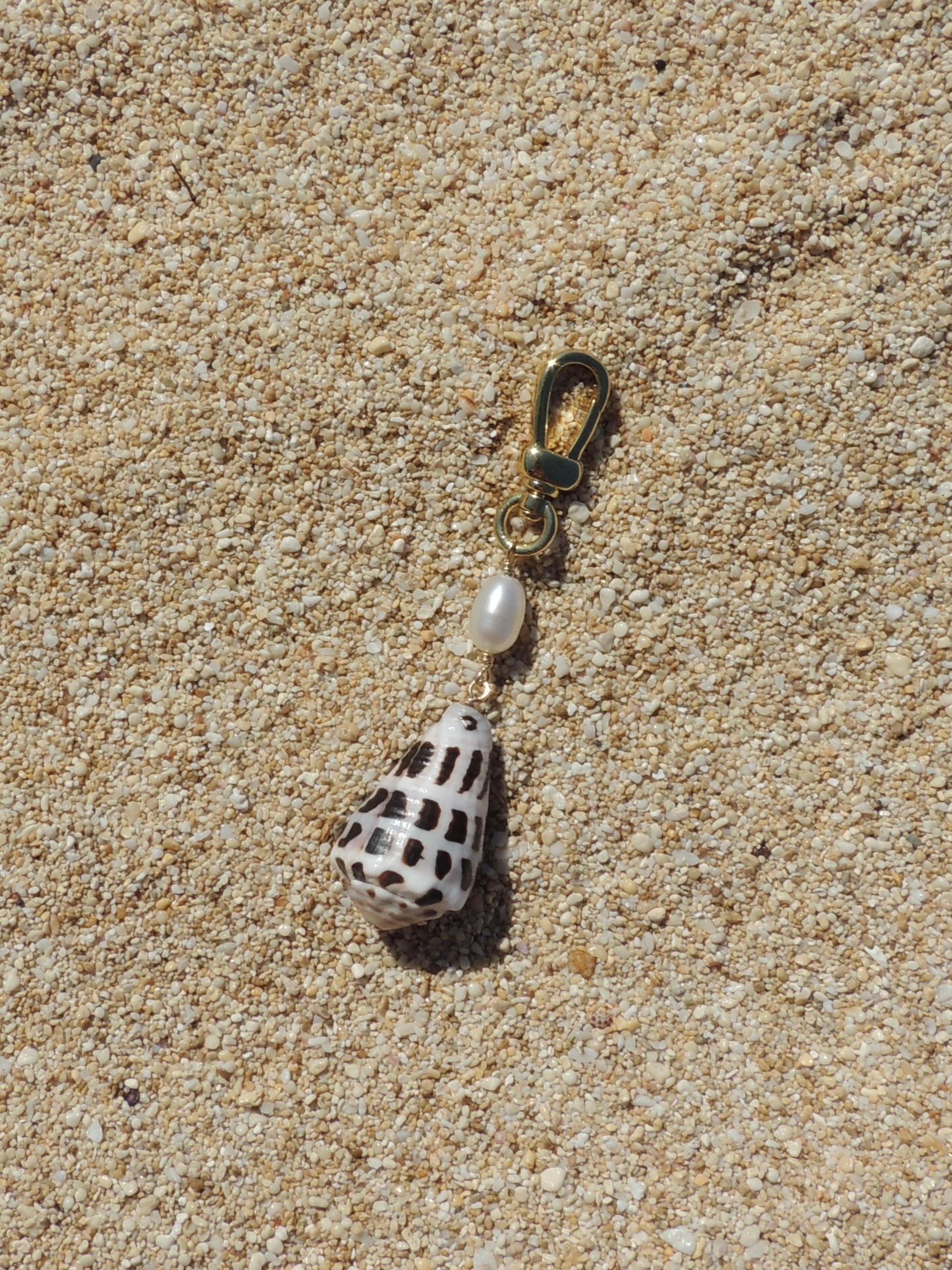 Hebrew Cone Shell Keychain