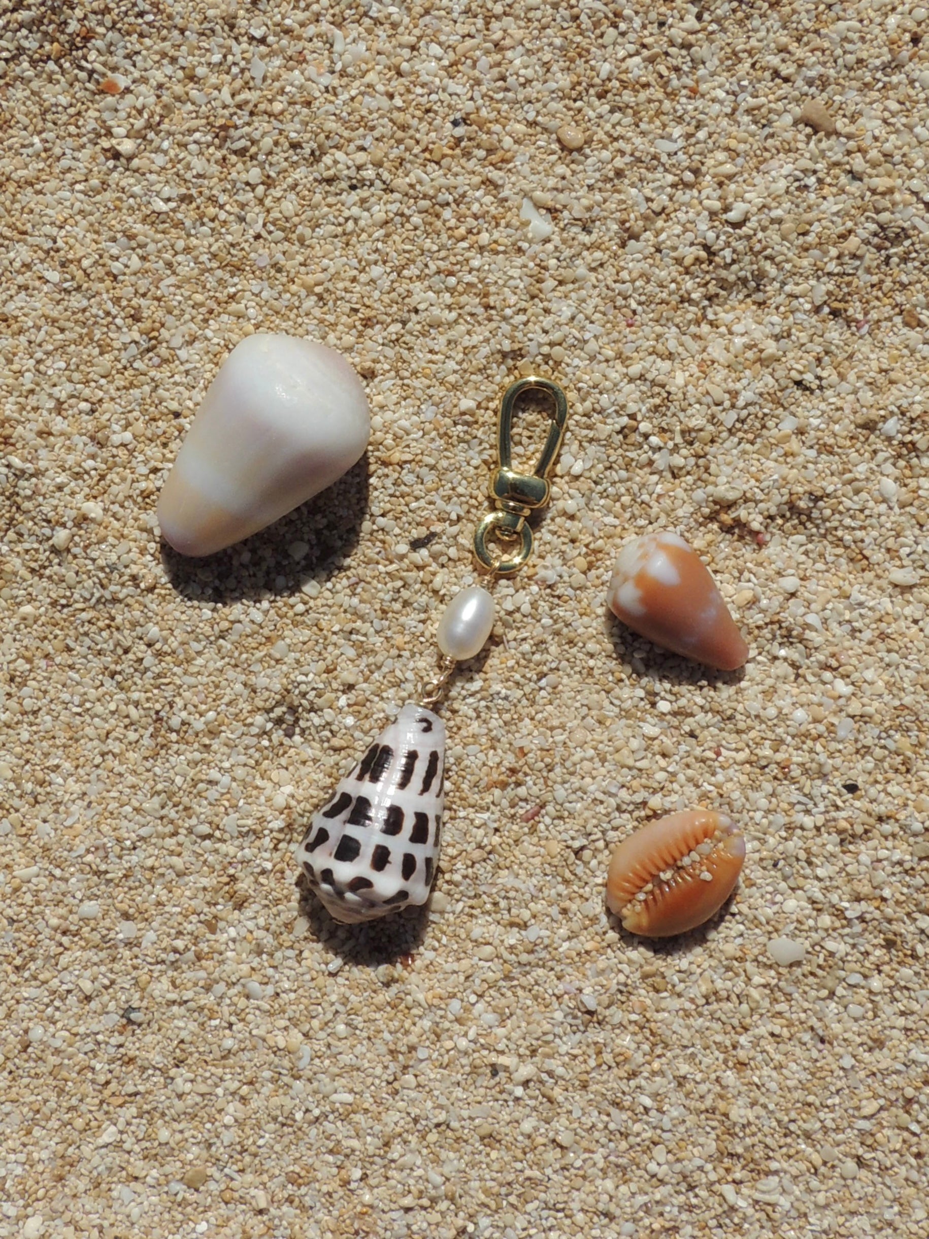 Hebrew Cone Shell Keychain