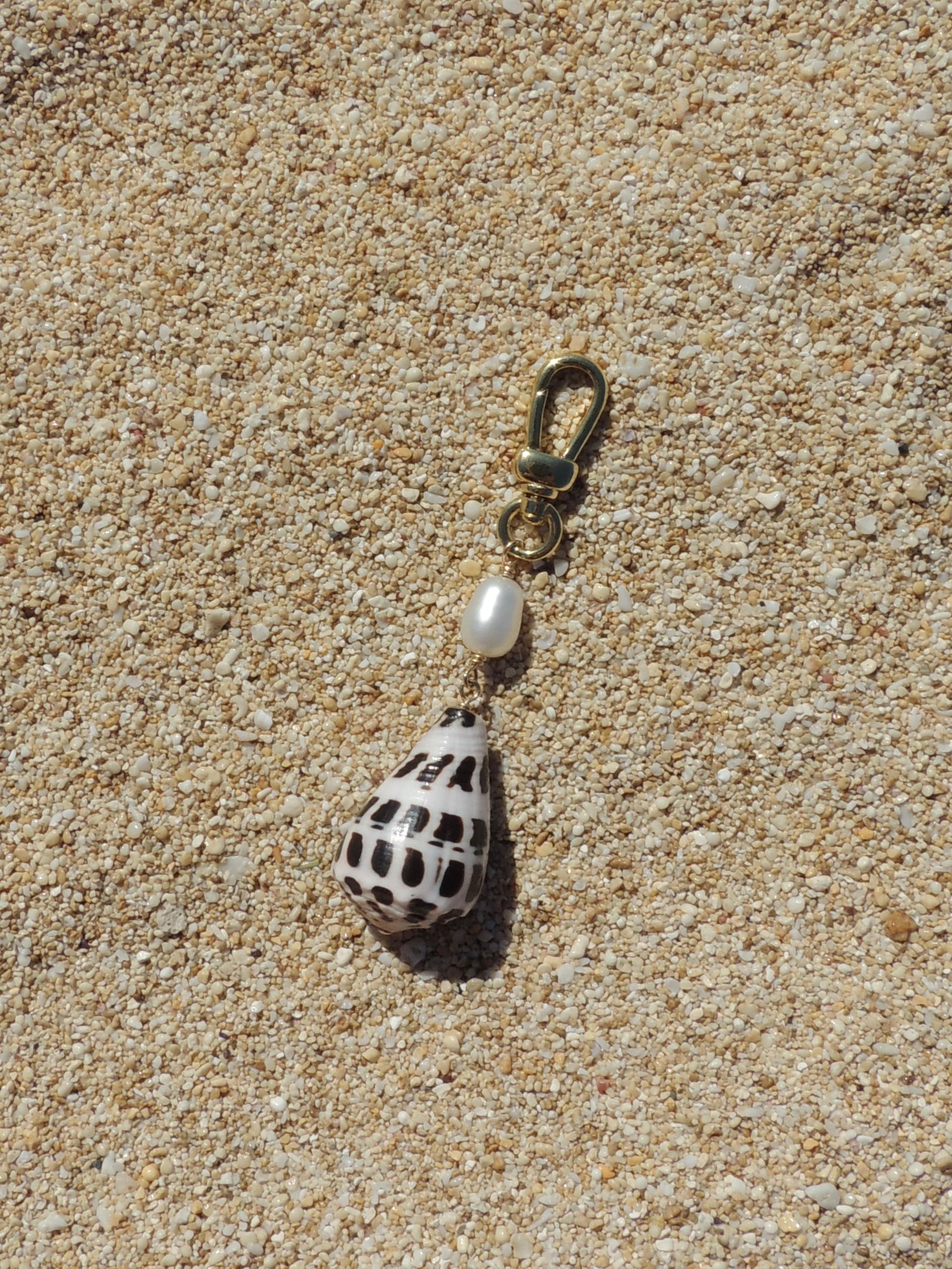 Hebrew Cone Shell Keychain