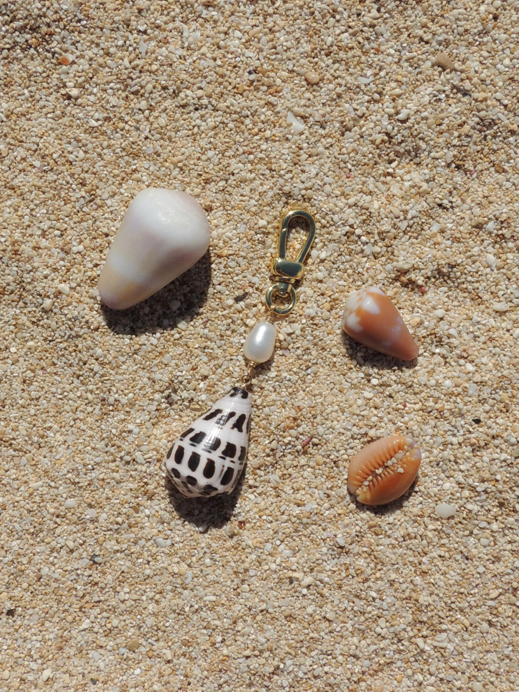 Hebrew Cone Shell Keychain
