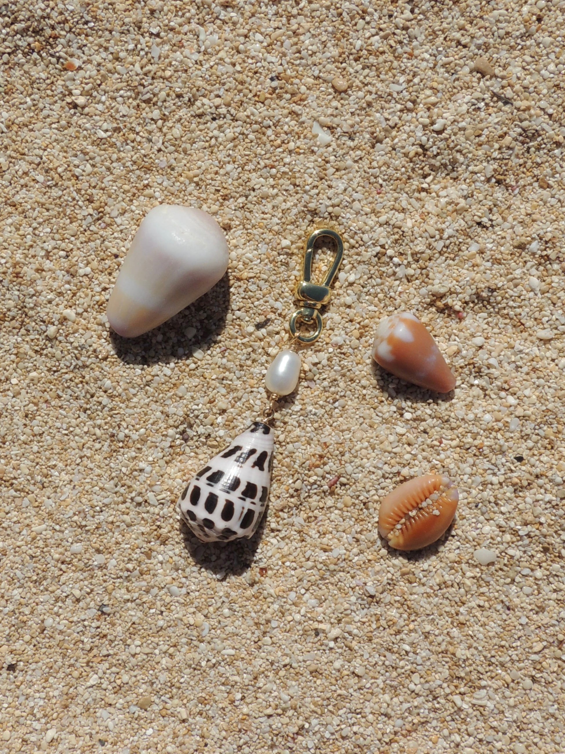 Hebrew Cone Shell Keychain