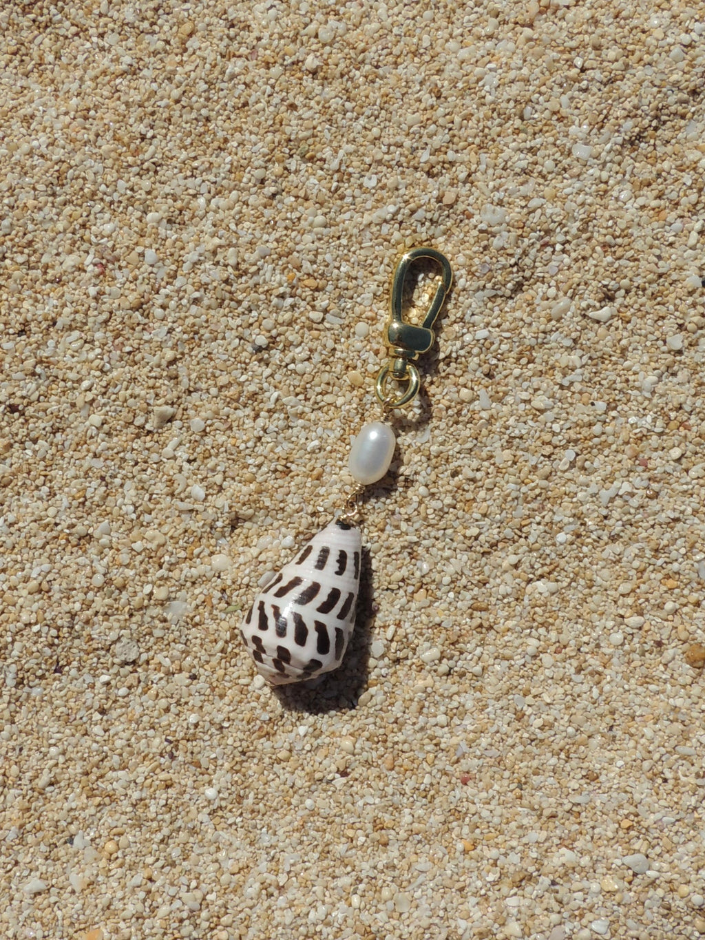 Hebrew Cone Shell Keychain