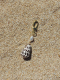 Hebrew Cone Shell Keychain