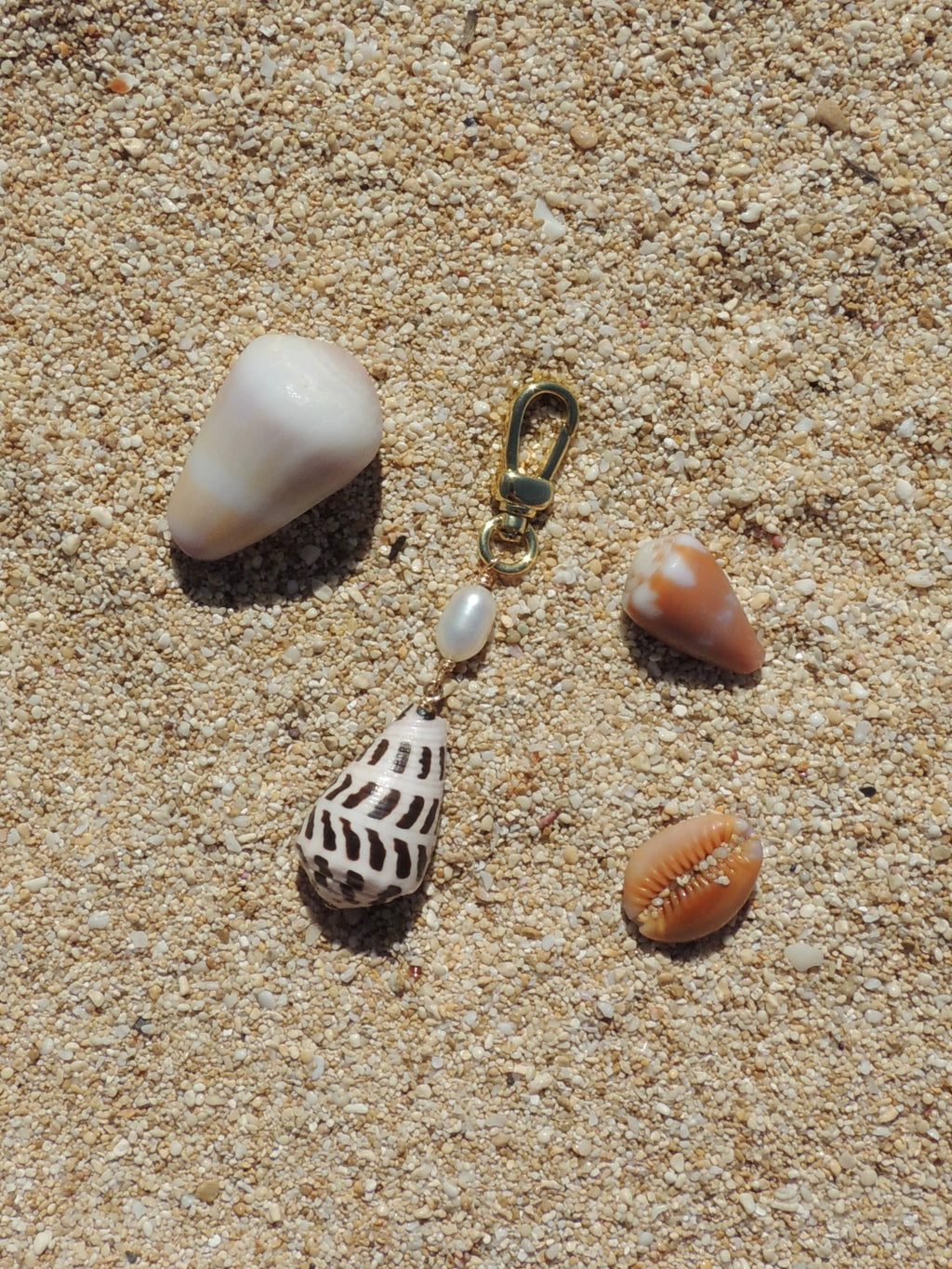 Hebrew Cone Shell Keychain