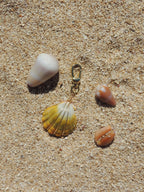 Sunrise Shell Keychain
