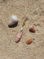 Miter Shell Keychain