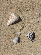 Cone Shell Keychain
