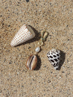 Brown Cowrie Shell Keychain