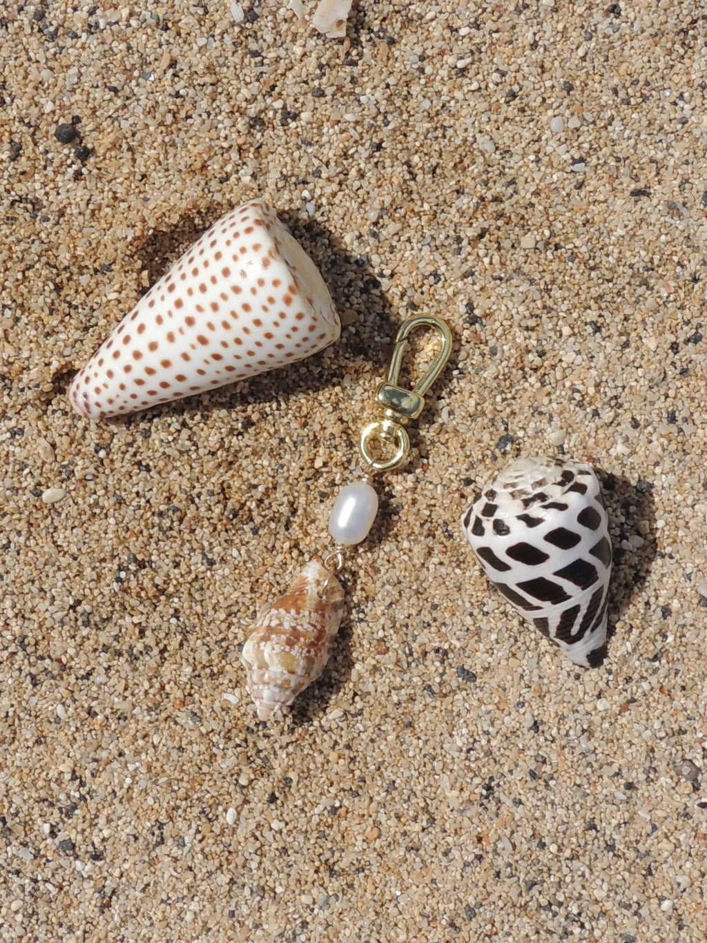 Stromb Shell Keychain