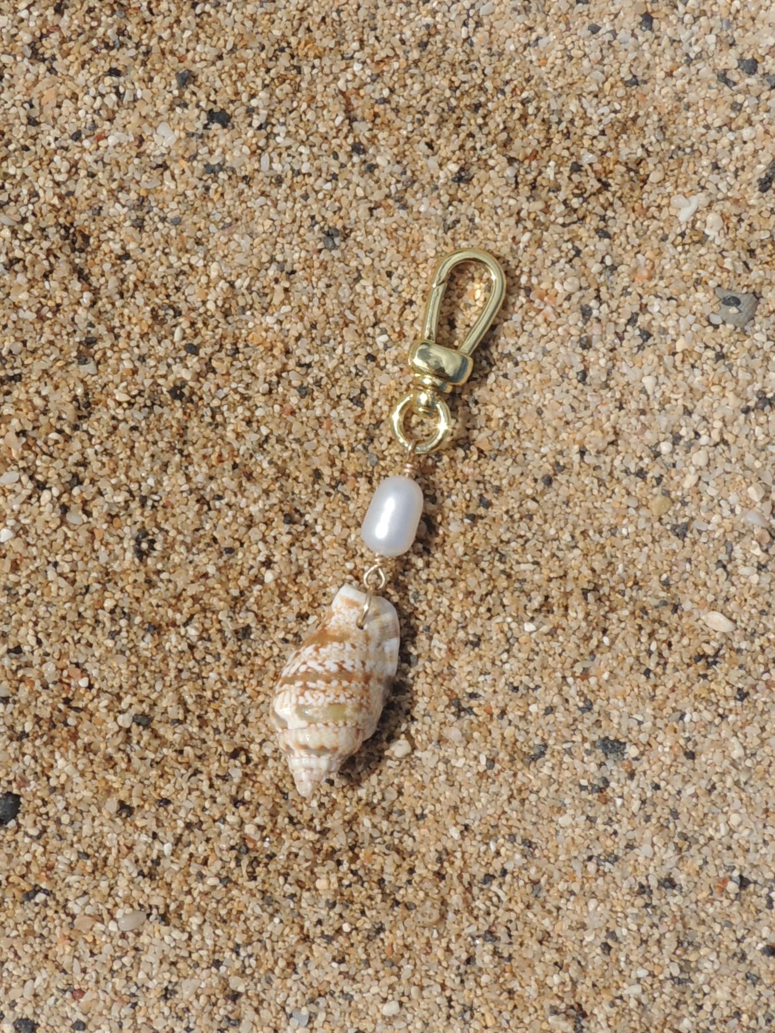 Stromb Shell Keychain