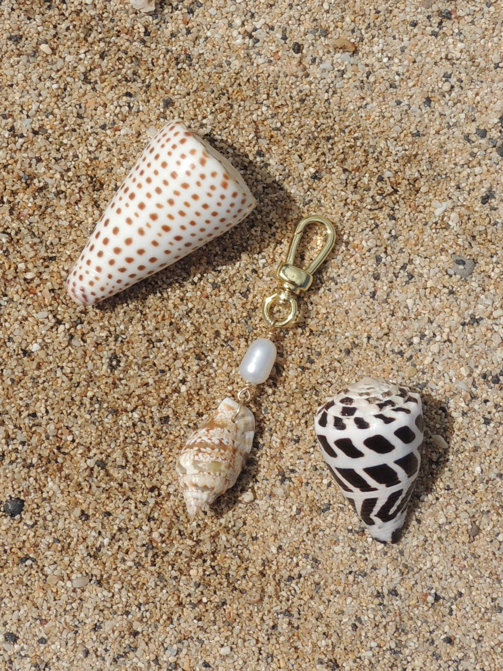 Stromb Shell Keychain
