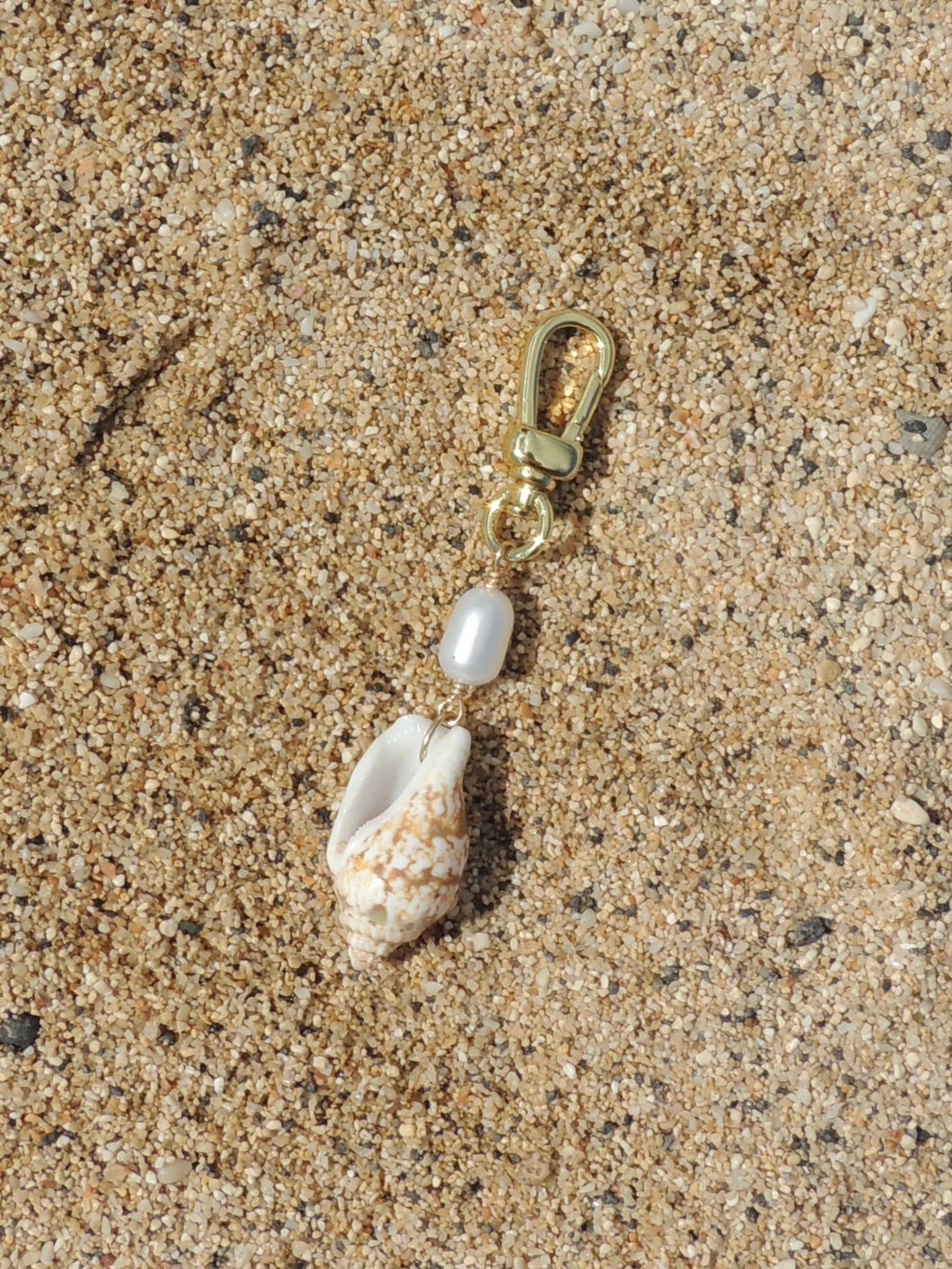 Stromb Shell Keychain