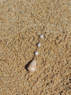 Cone Shell Necklace