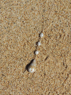 Cone Shell Necklace