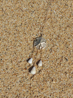 Sand Dollar / Cone Shell Necklace