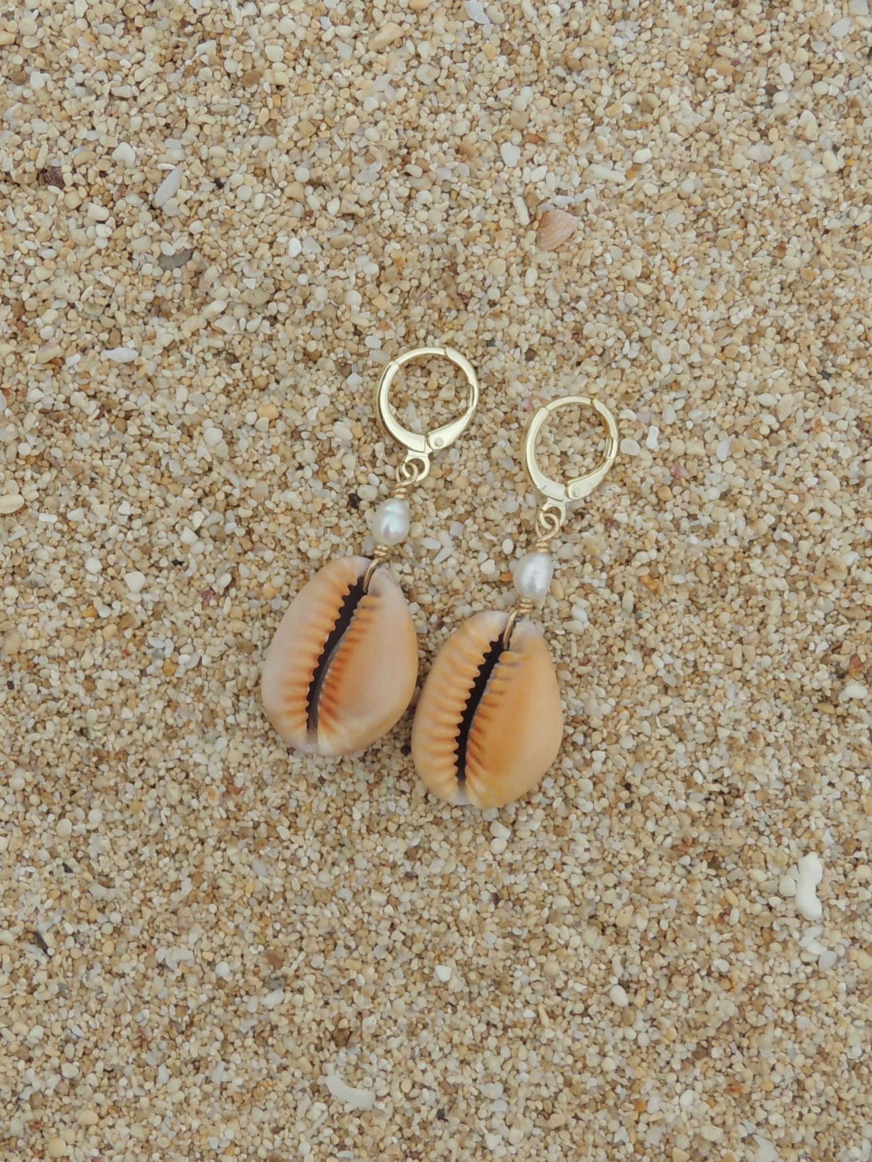 Honey Cowrie Shell Huggies