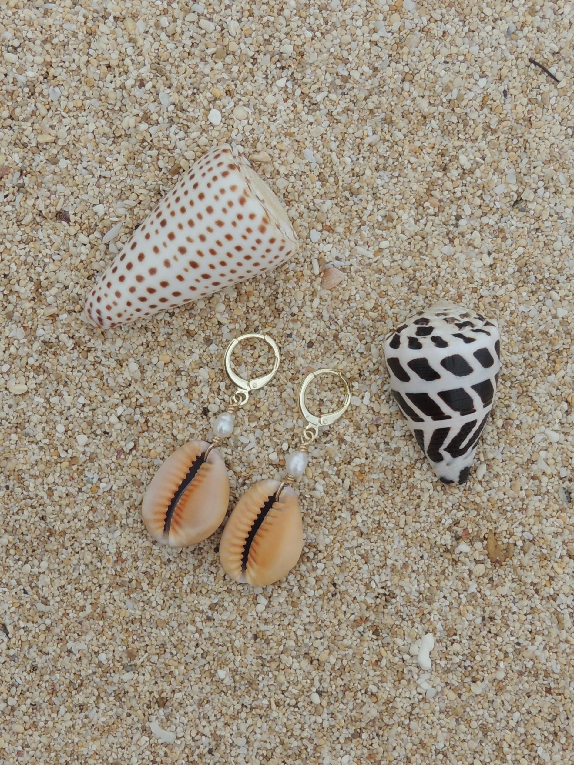 Honey Cowrie Shell Huggies