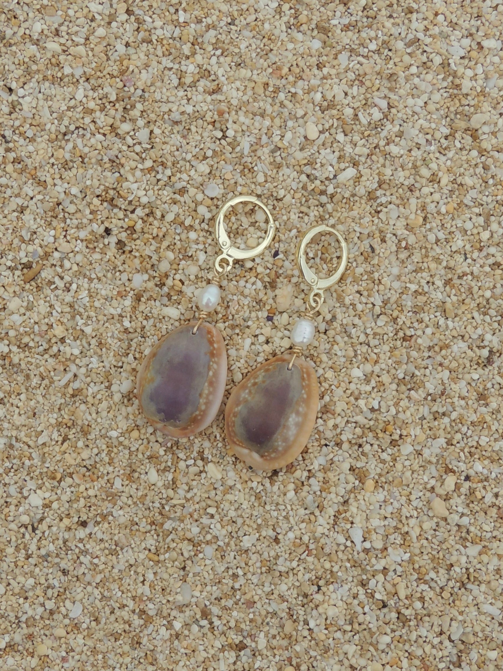 Honey Cowrie Shell Huggies