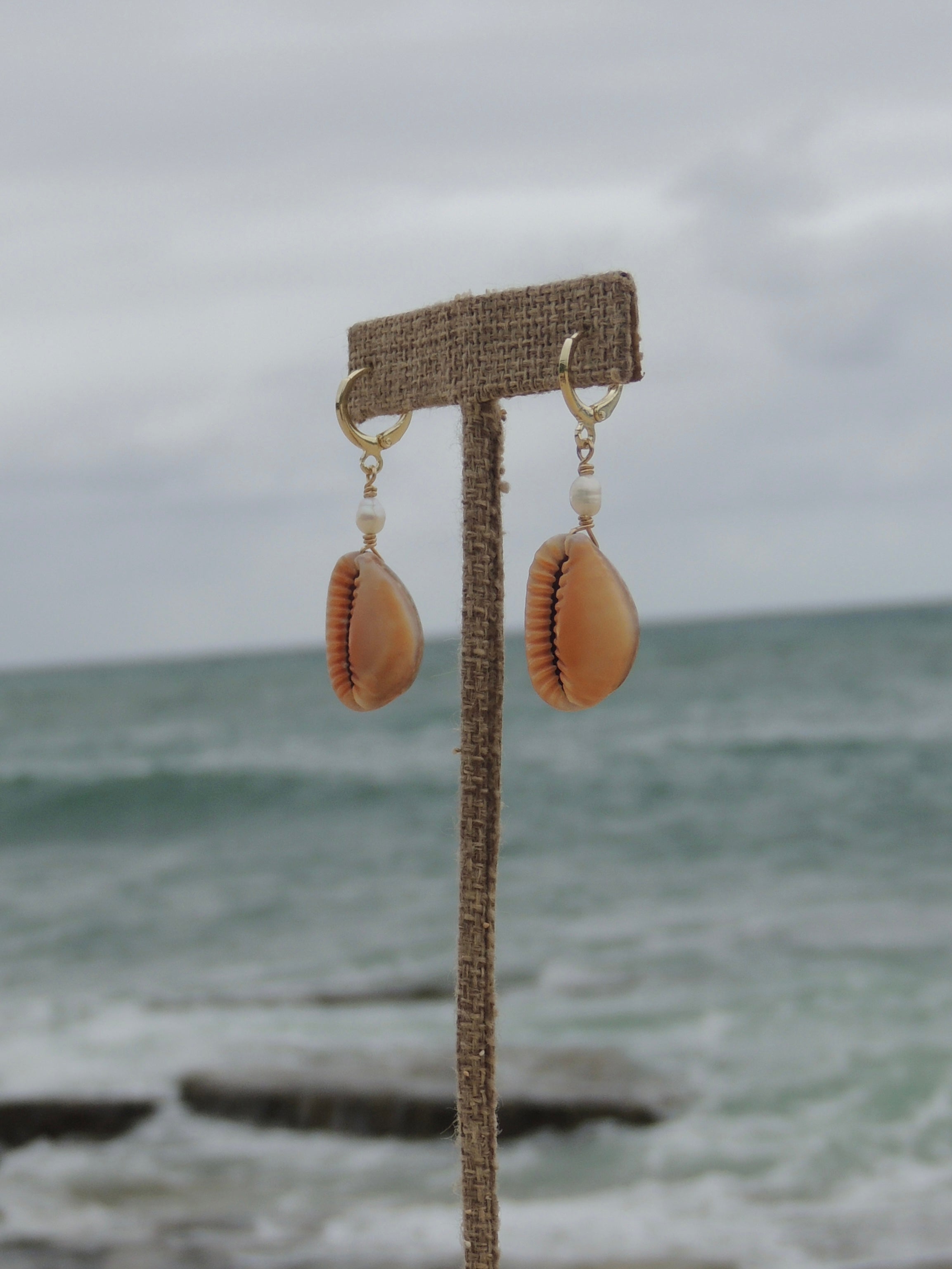Honey Cowrie Shell Huggies