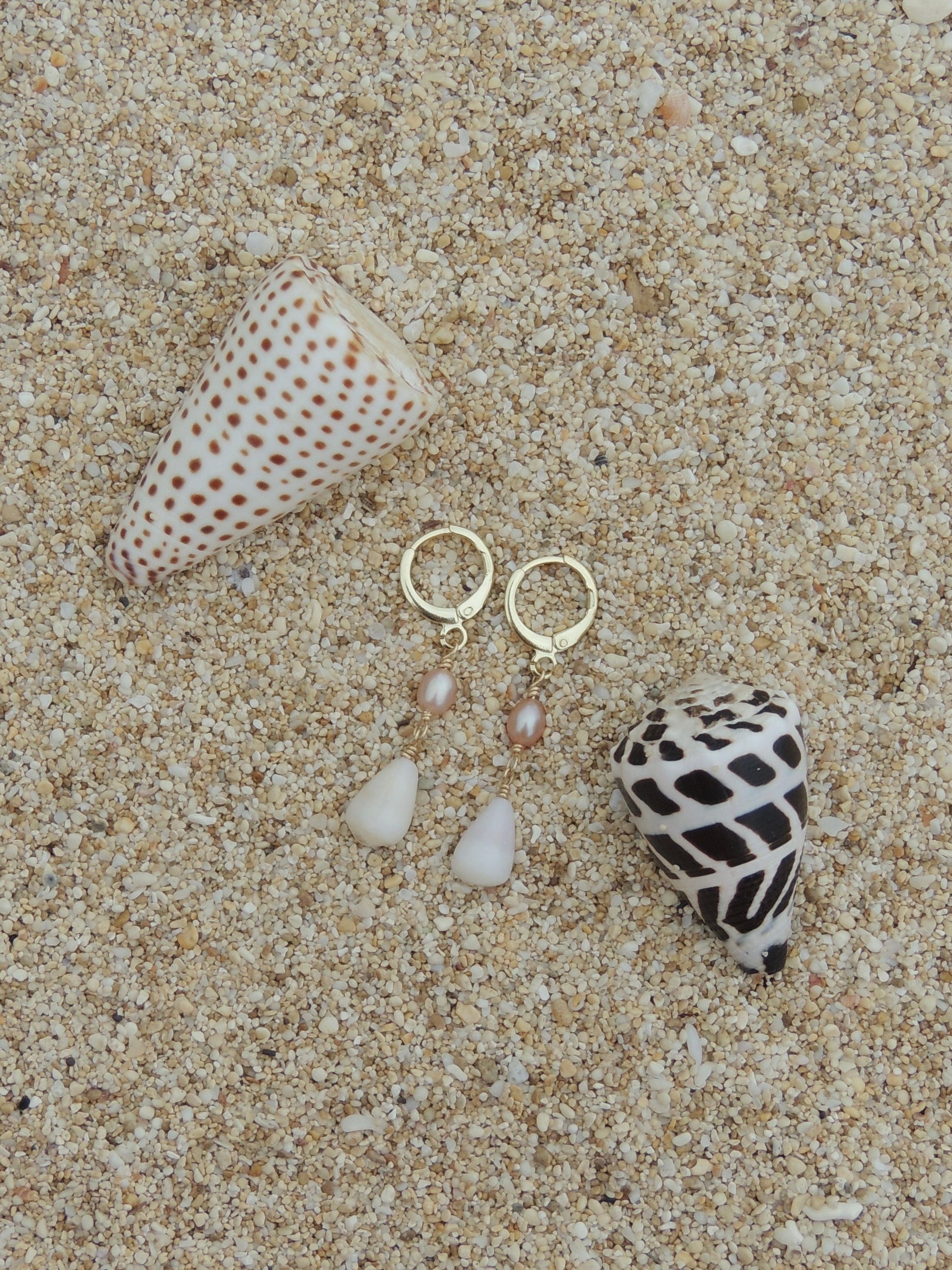 Cone Shell Huggies