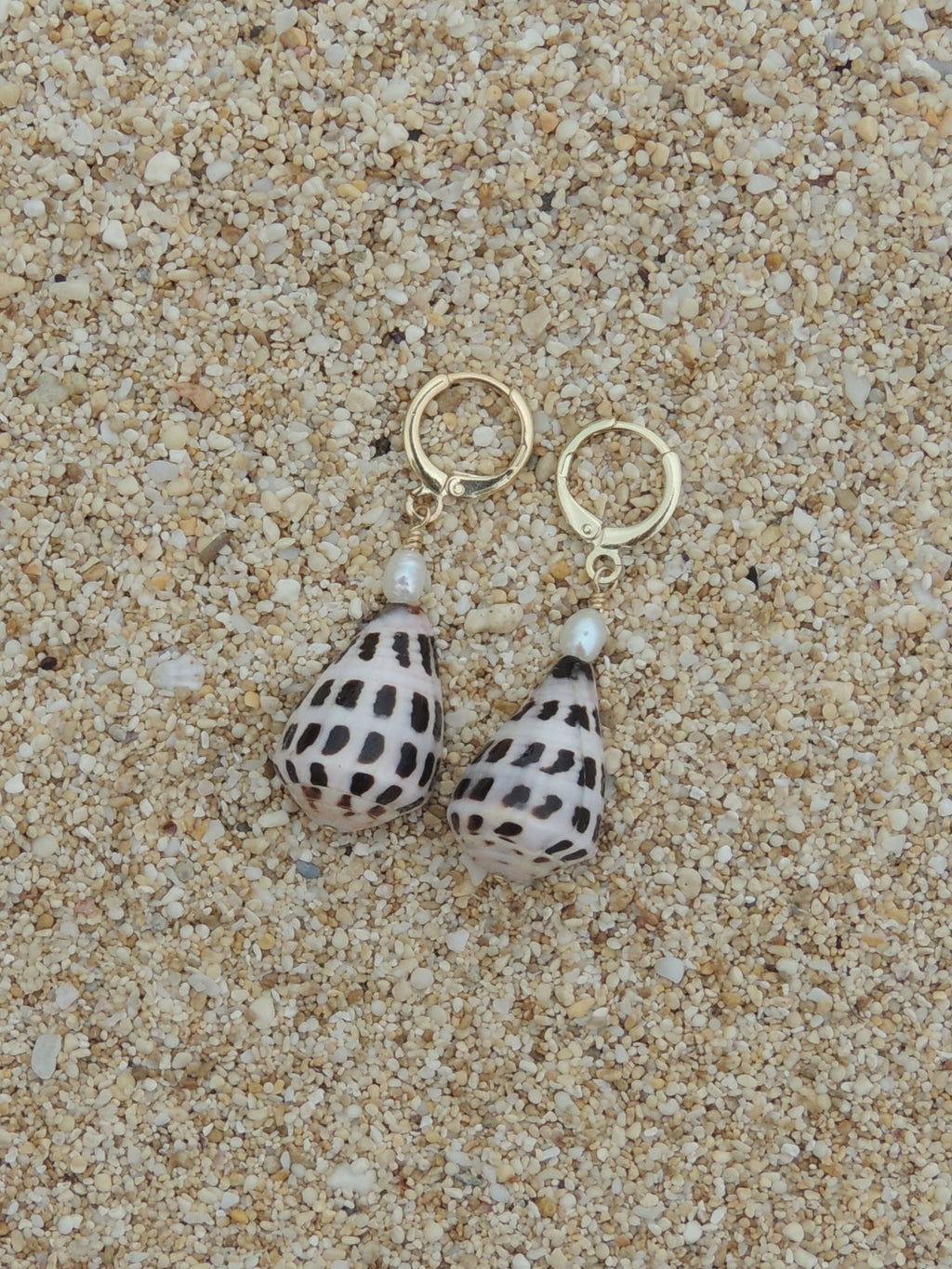 Hebrew Cone Shell Huggies