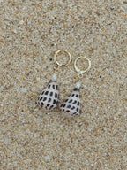 Hebrew Cone Shell Huggies