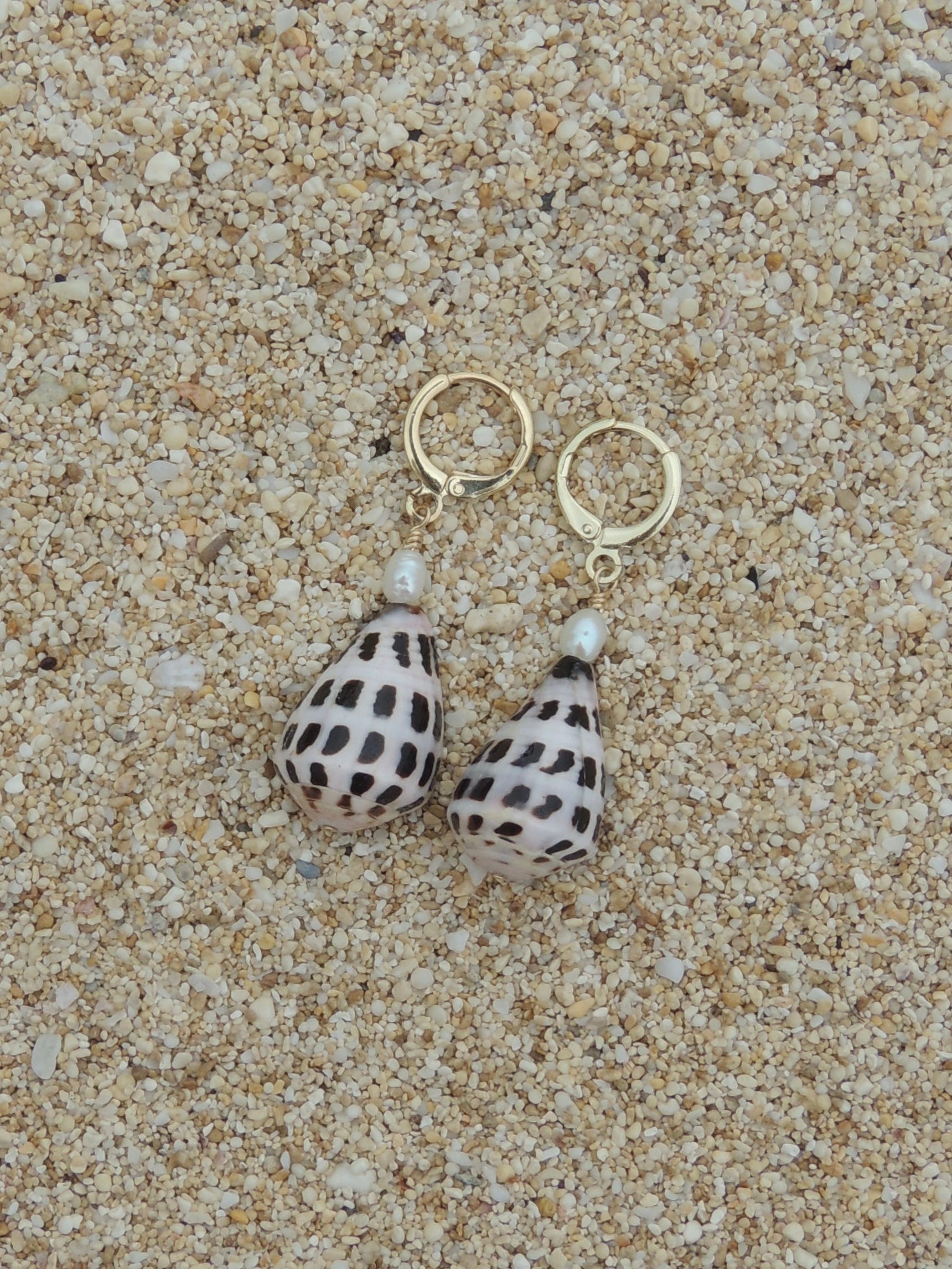 Hebrew Cone Shell Huggies