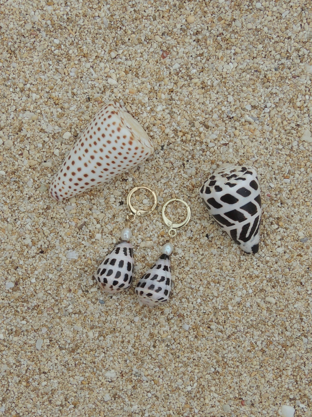 Hebrew Cone Shell Huggies