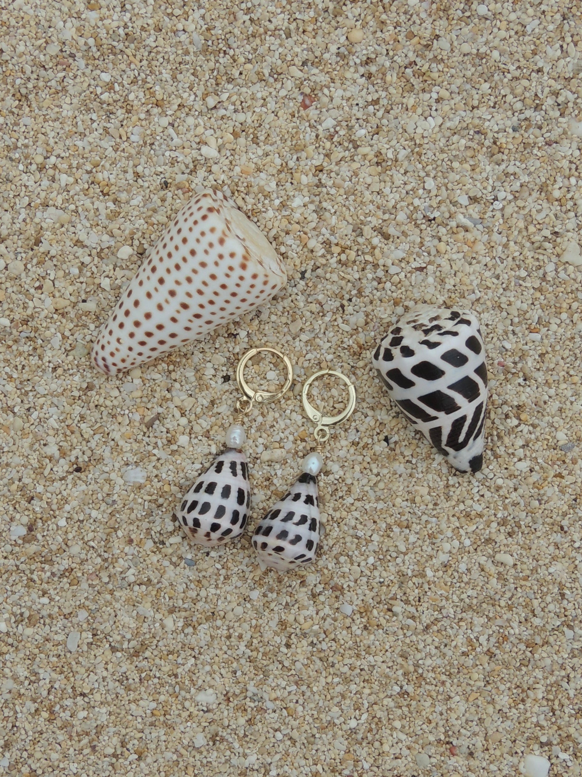 Hebrew Cone Shell Huggies