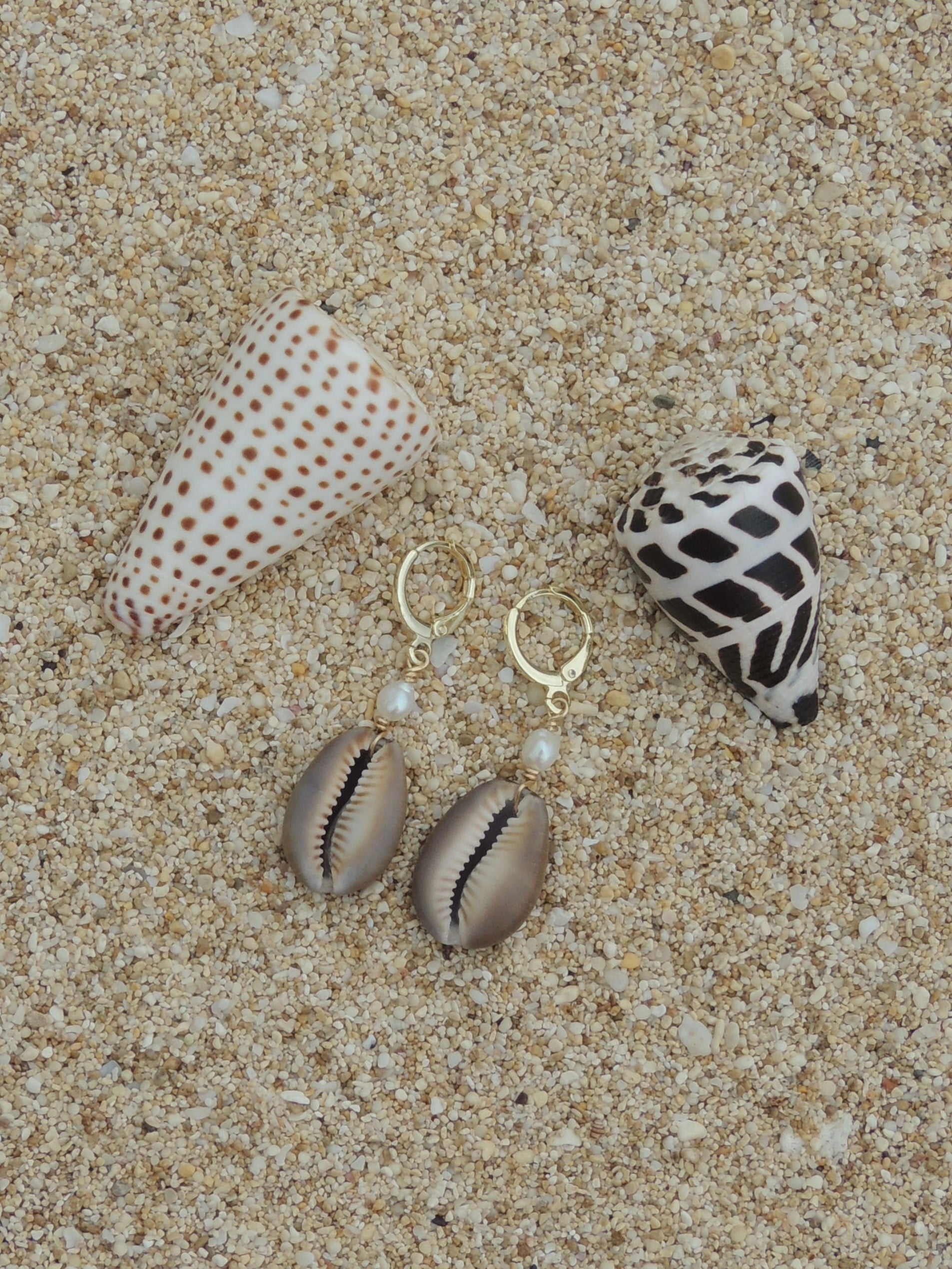 Cowrie Shell Huggies