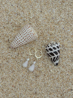 Cone Shell Huggies