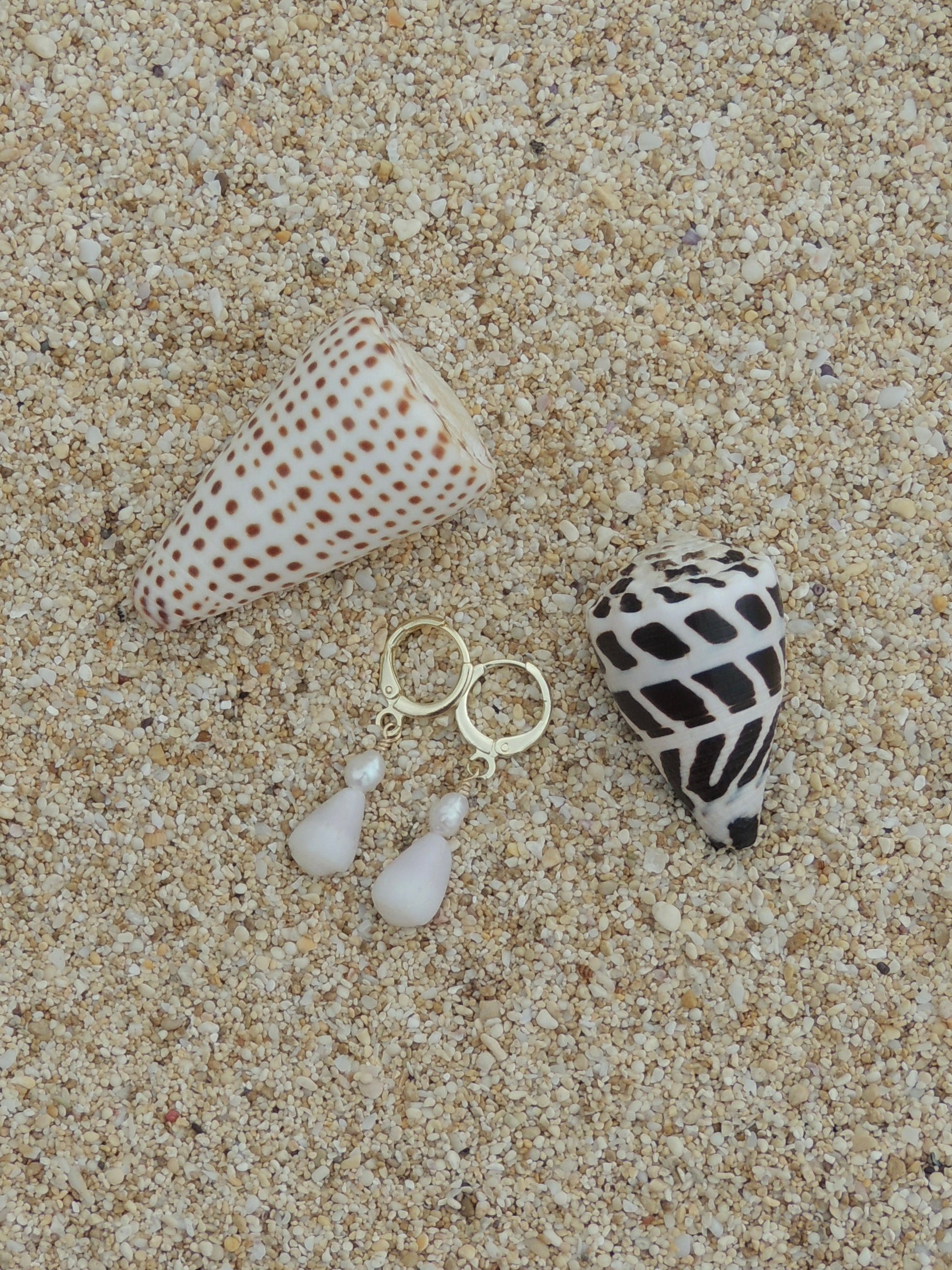 Cone Shell Huggies