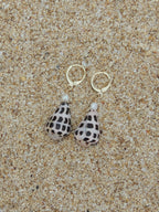 Hebrew Cone Shell Huggies