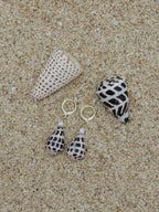 Hebrew Cone Shell Huggies