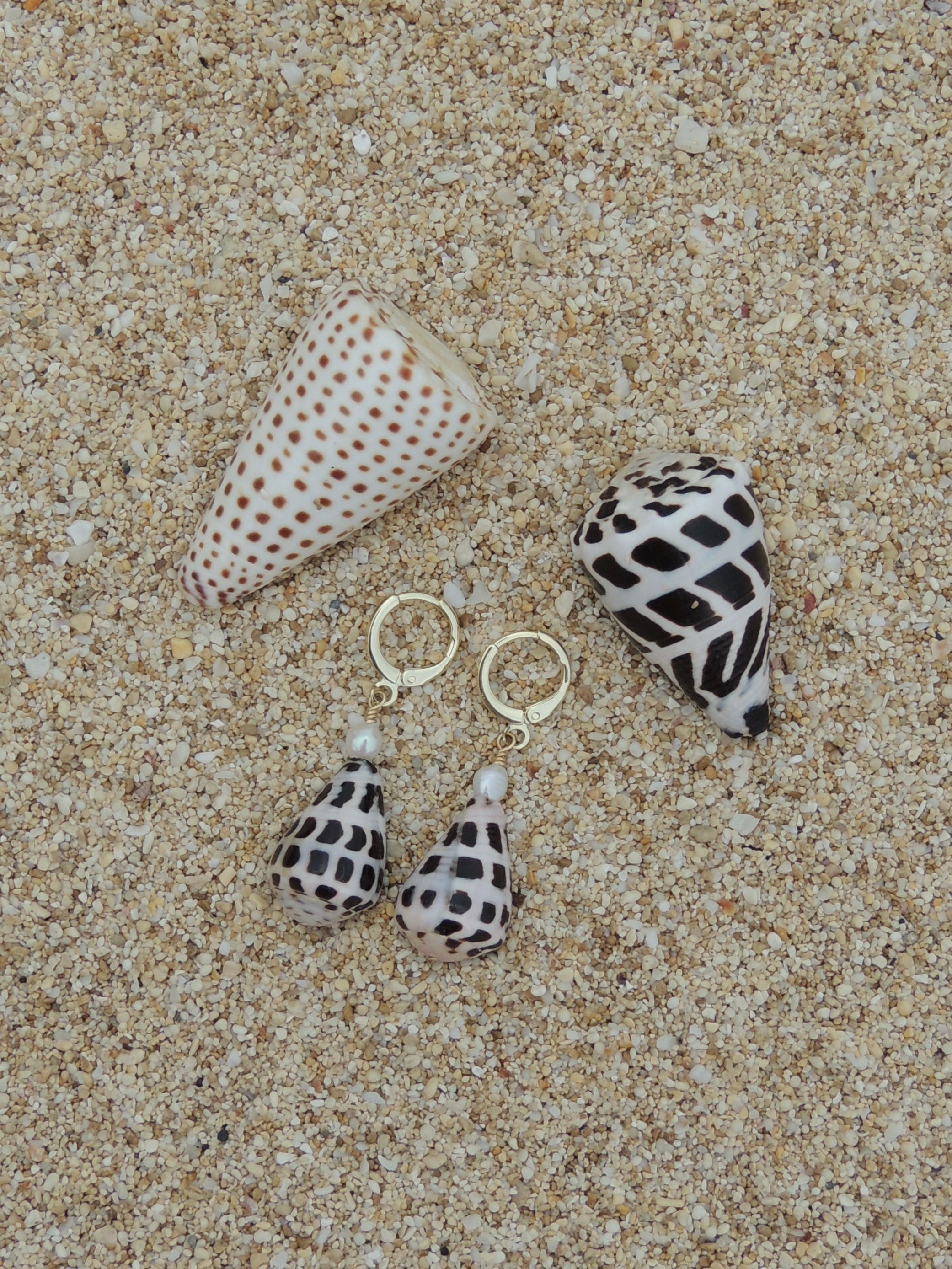 Hebrew Cone Shell Huggies