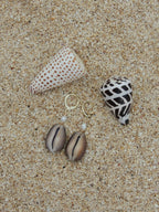Cowrie Shell Huggies