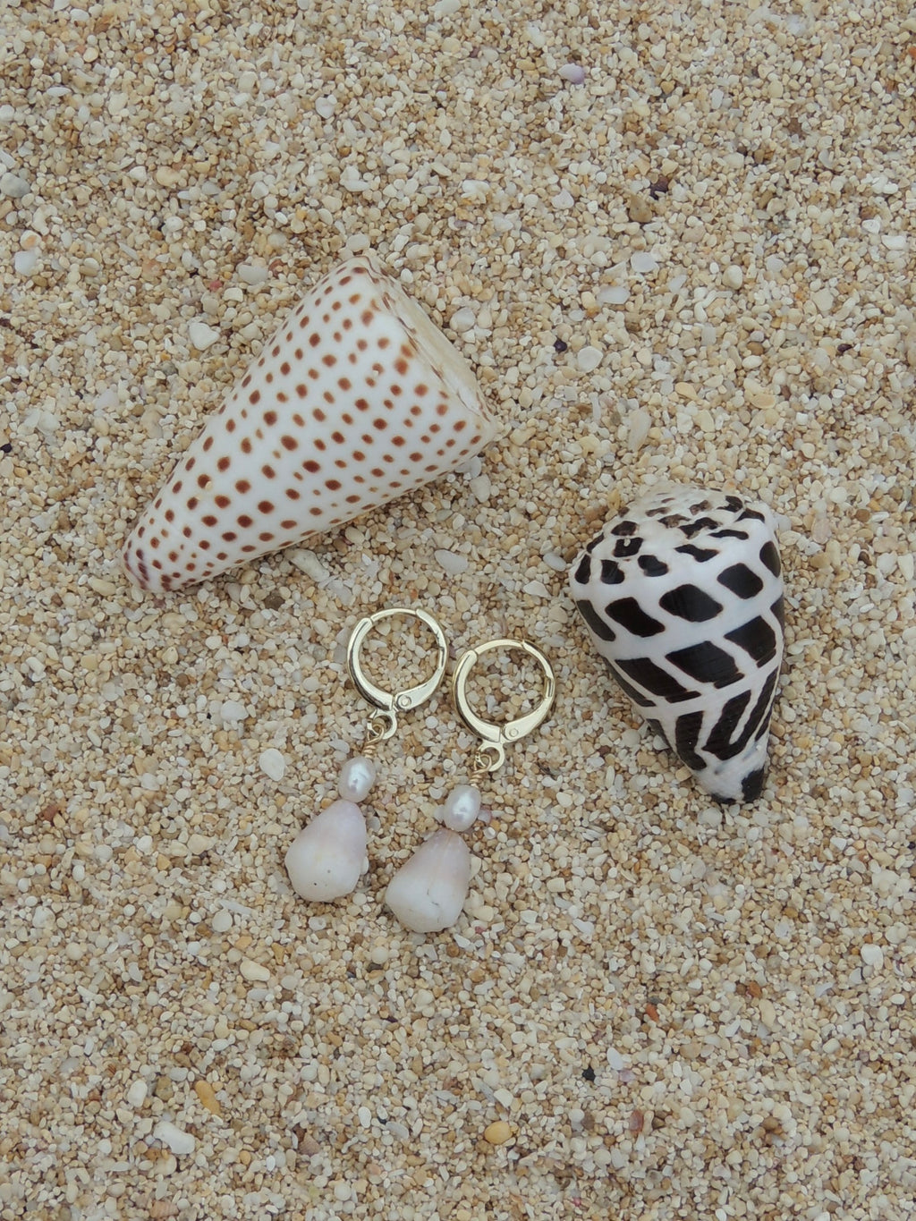 Cone Shell Huggies