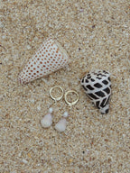 Cone Shell Huggies