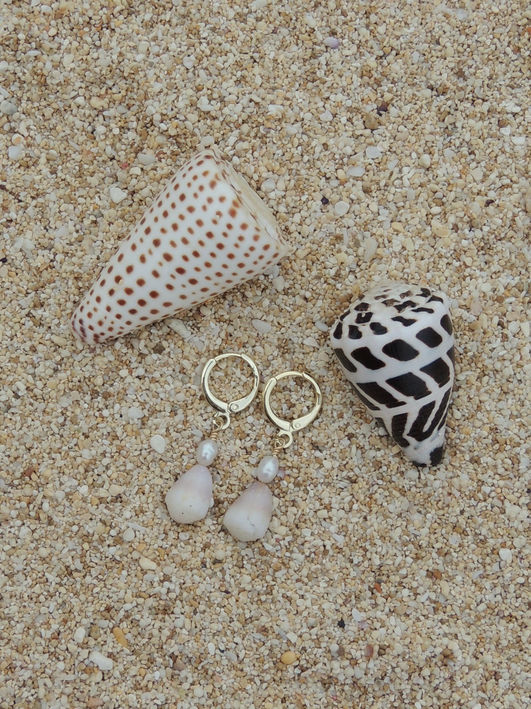 Cone Shell Huggies