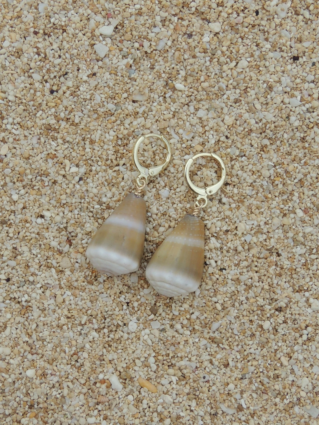 Cone Shell Huggies