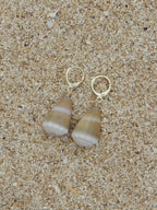 Cone Shell Huggies