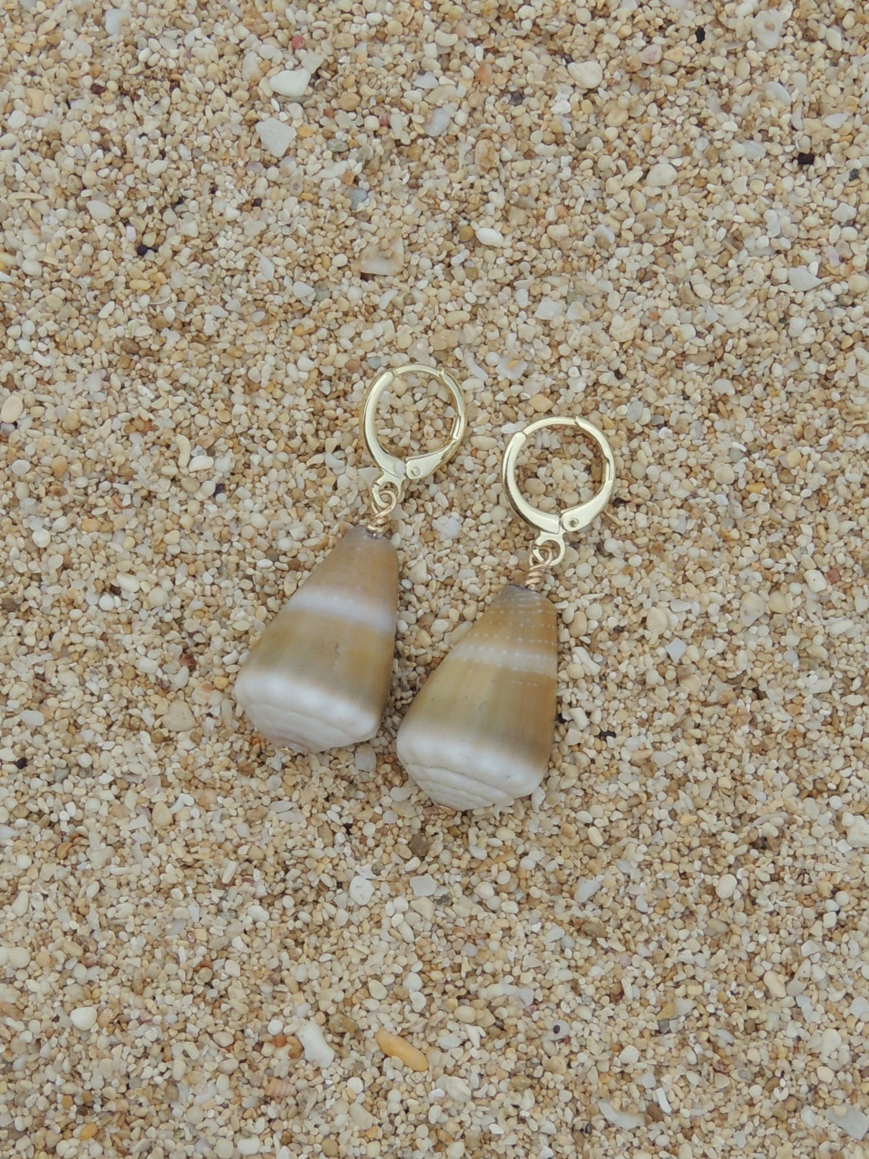 Cone Shell Huggies