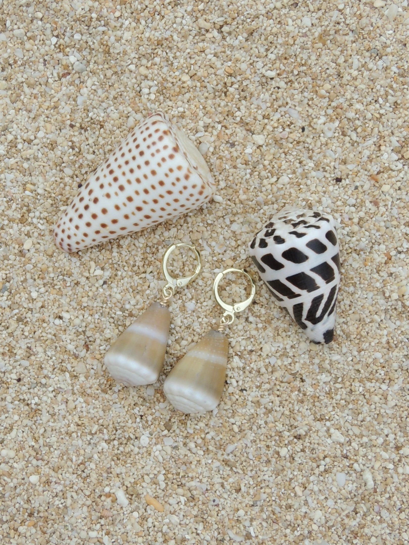 Cone Shell Huggies