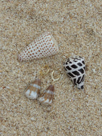 Rat Cone Shell Huggies