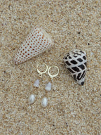 Cone Shell Huggies