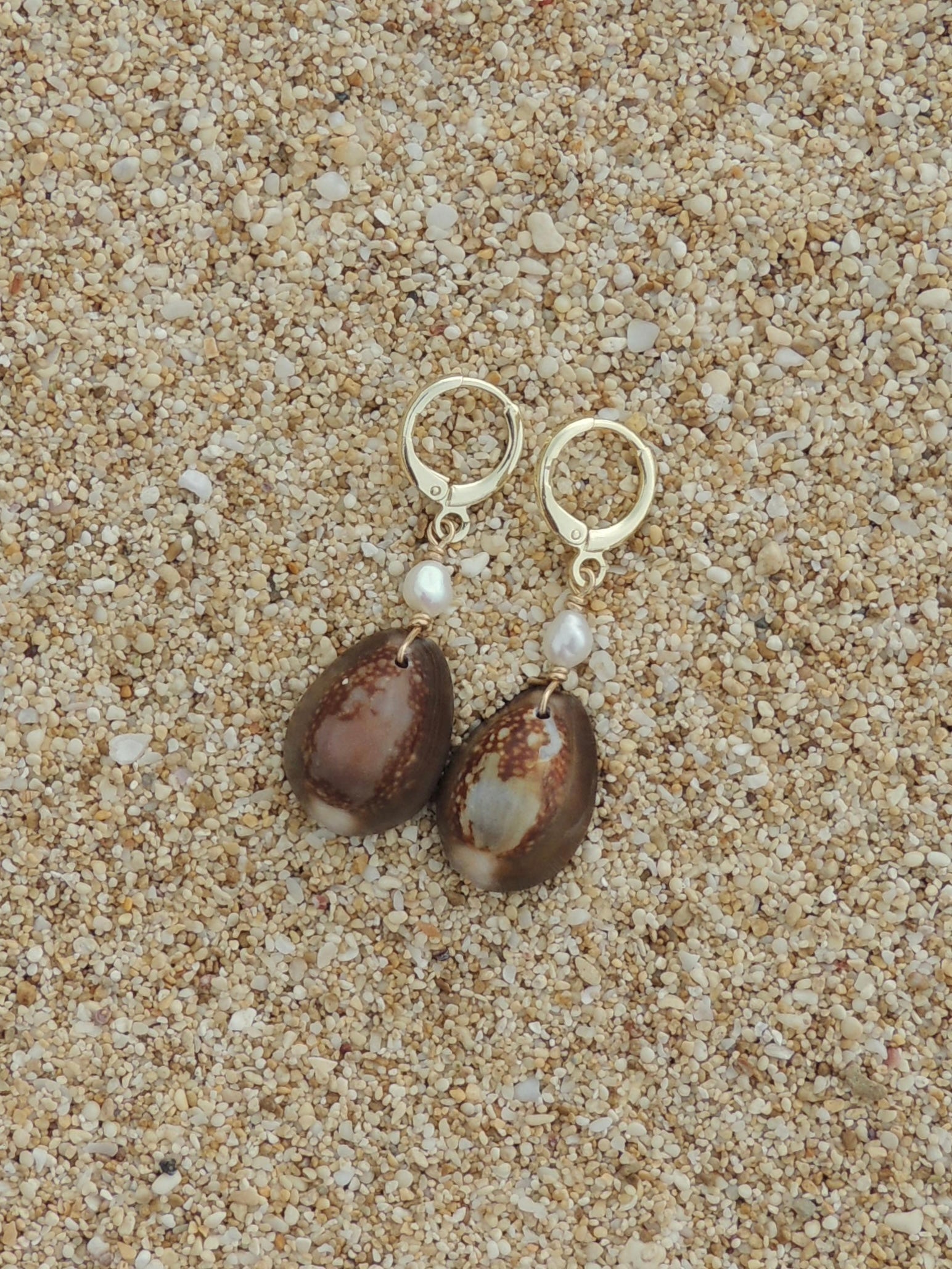 Cowrie Shell Huggies